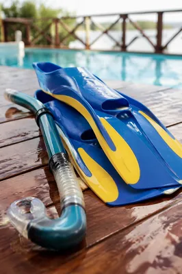 Swim Training Gear by Poolside Deck